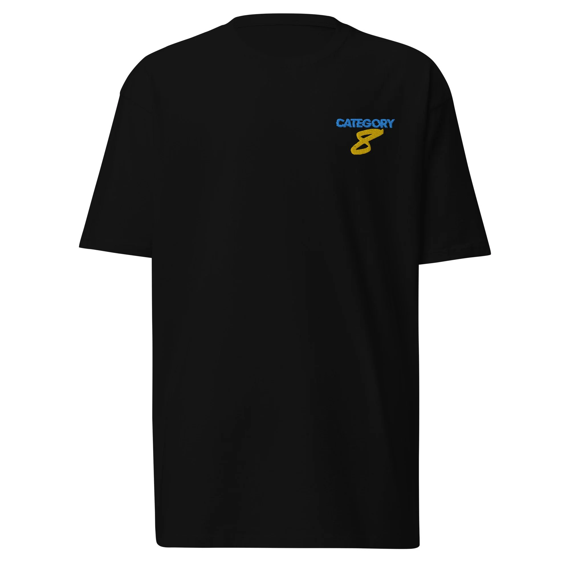 mens-premium-heavyweight-tee-black-front-6393f3ac96427.jpg