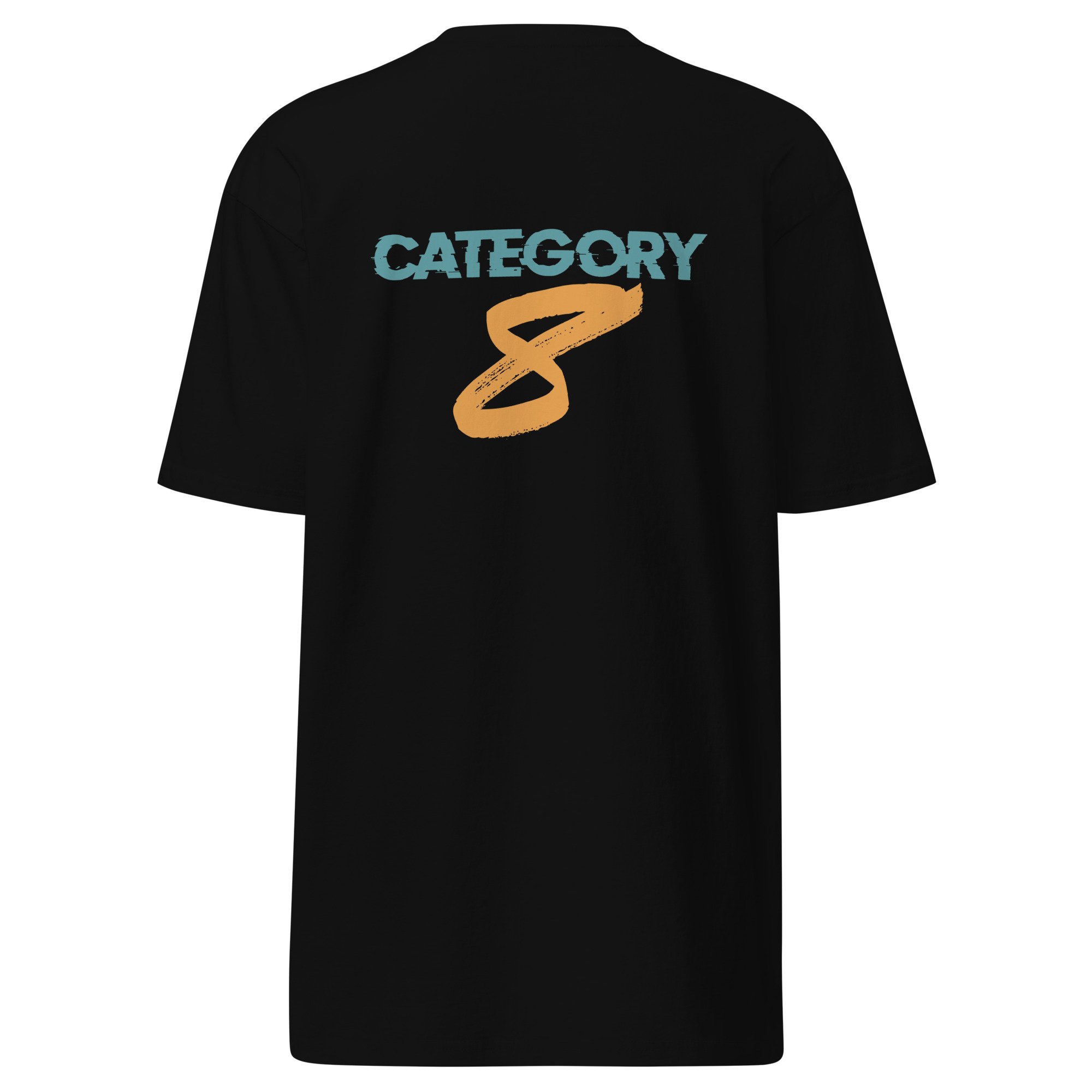 mens-premium-heavyweight-tee-black-back-6393f3ad05447.jpg