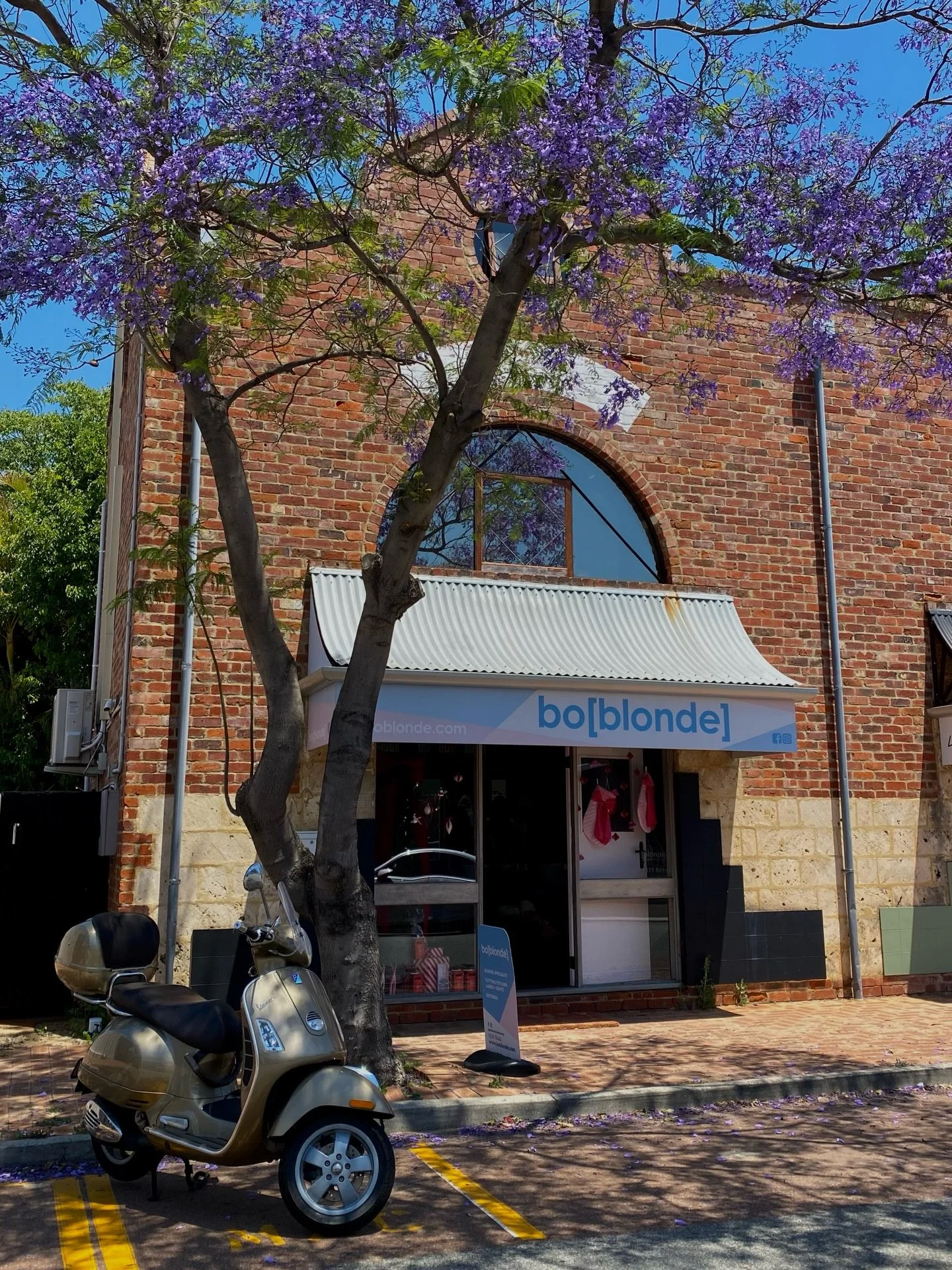 Well&hellip; November just disappeared, and somehow it&rsquo;s officially December?! The decorations are out, Mariah Carey has defrosted and is blasting, and the festive chaos has begun. ✨🎄

November was absolutely PACKED with stunning blonde transf