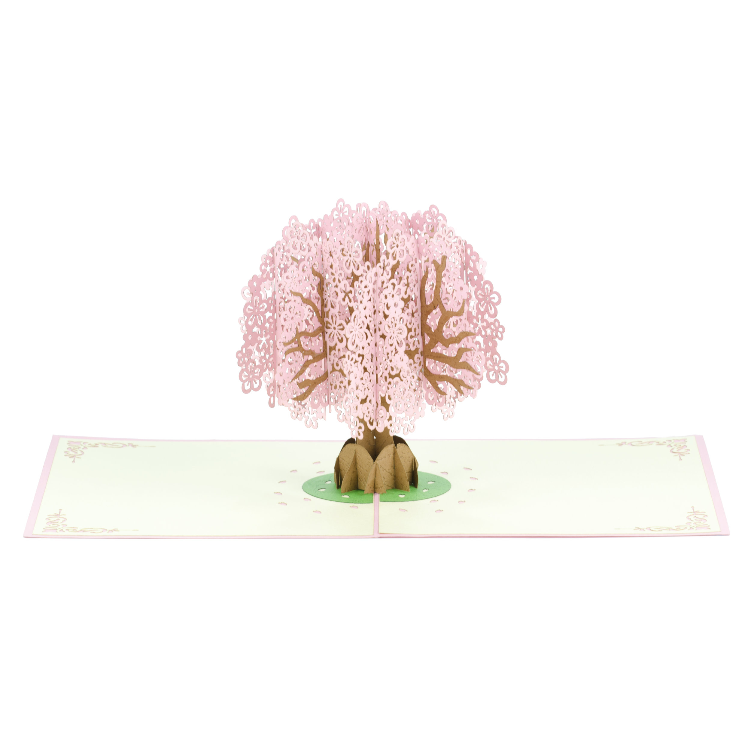IPAPYRUS_PINK_F_2.jpg