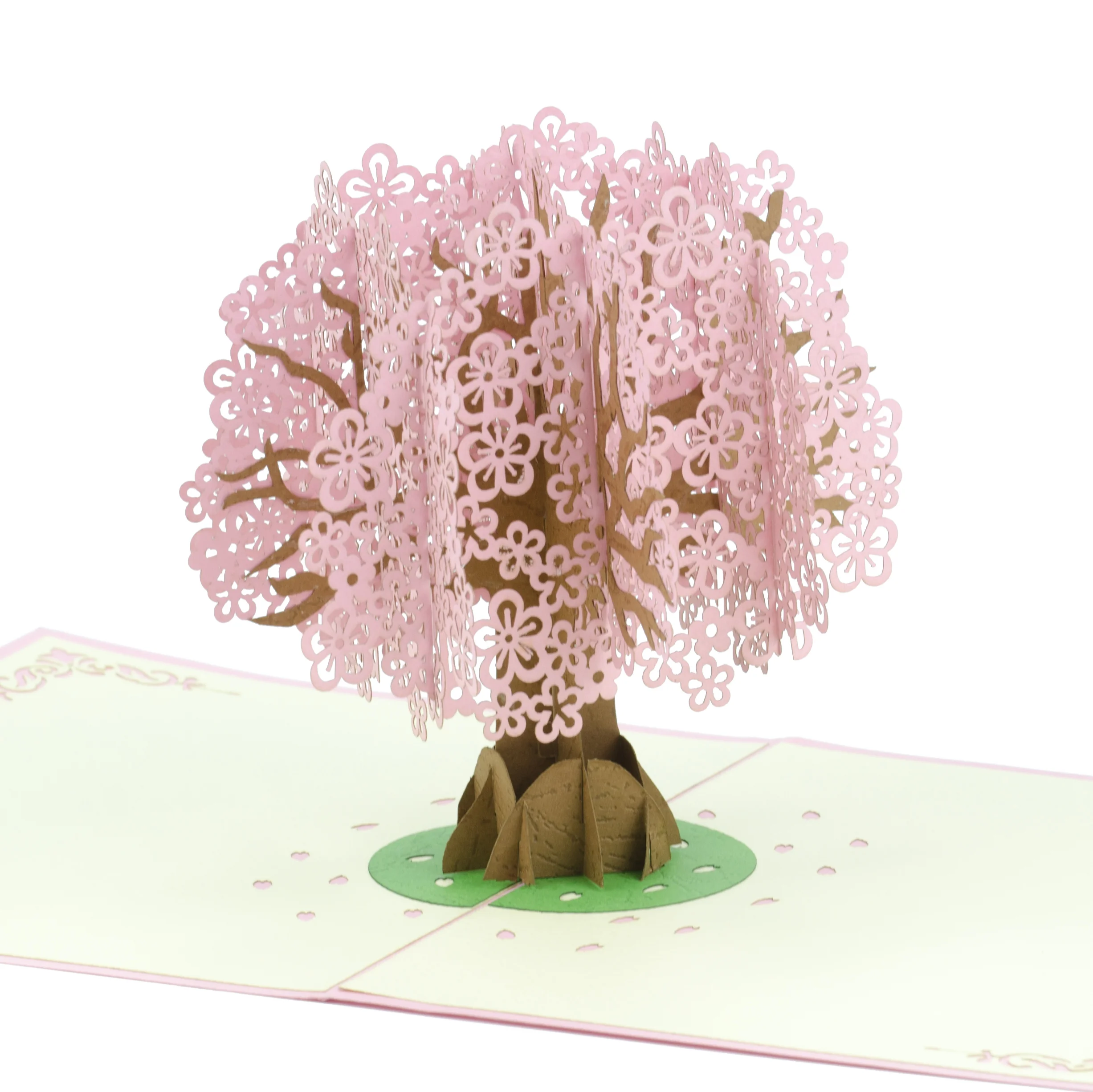 IPAPYRUS_PINK_F_3.jpg