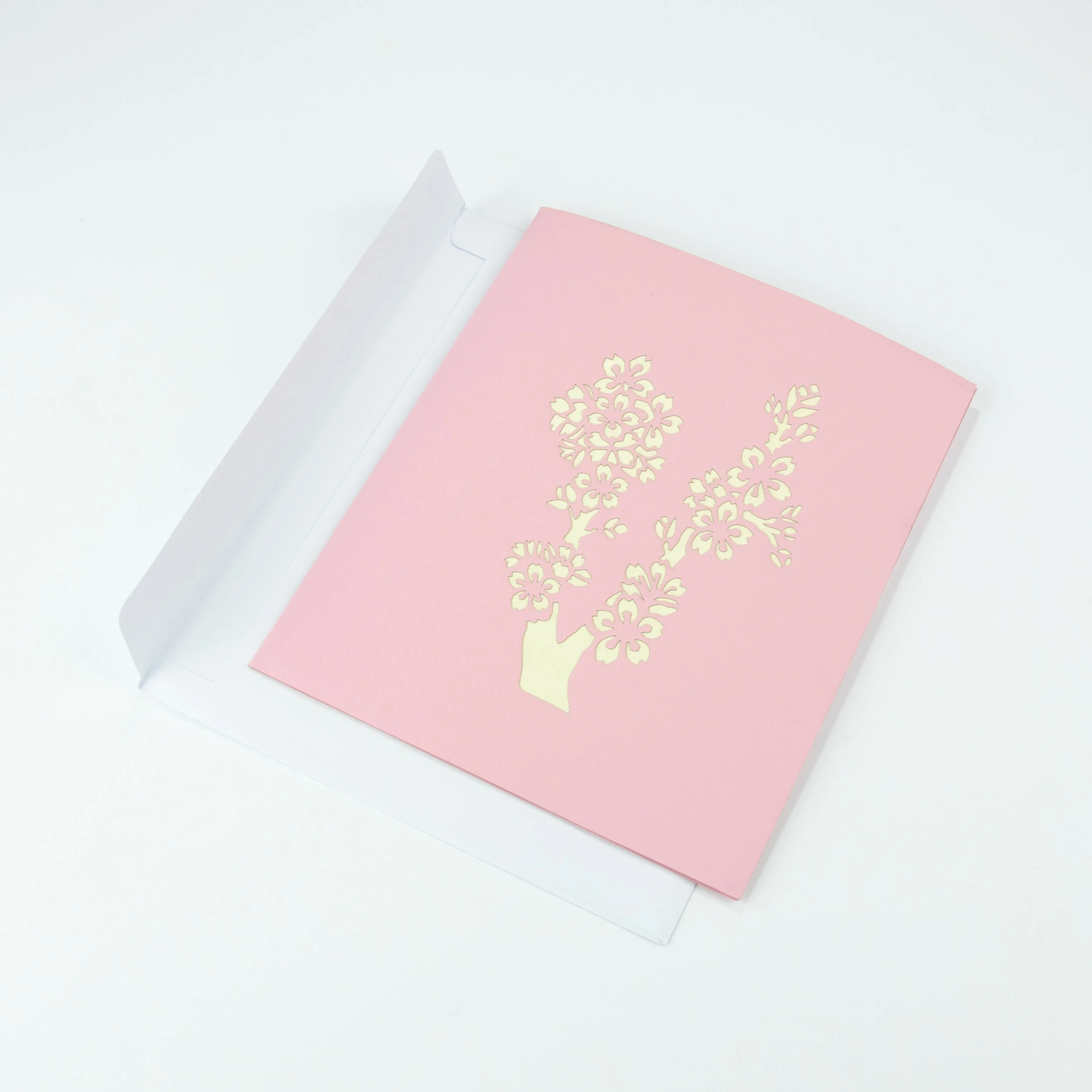 IPAPYRUS_PINK_F_7.jpg