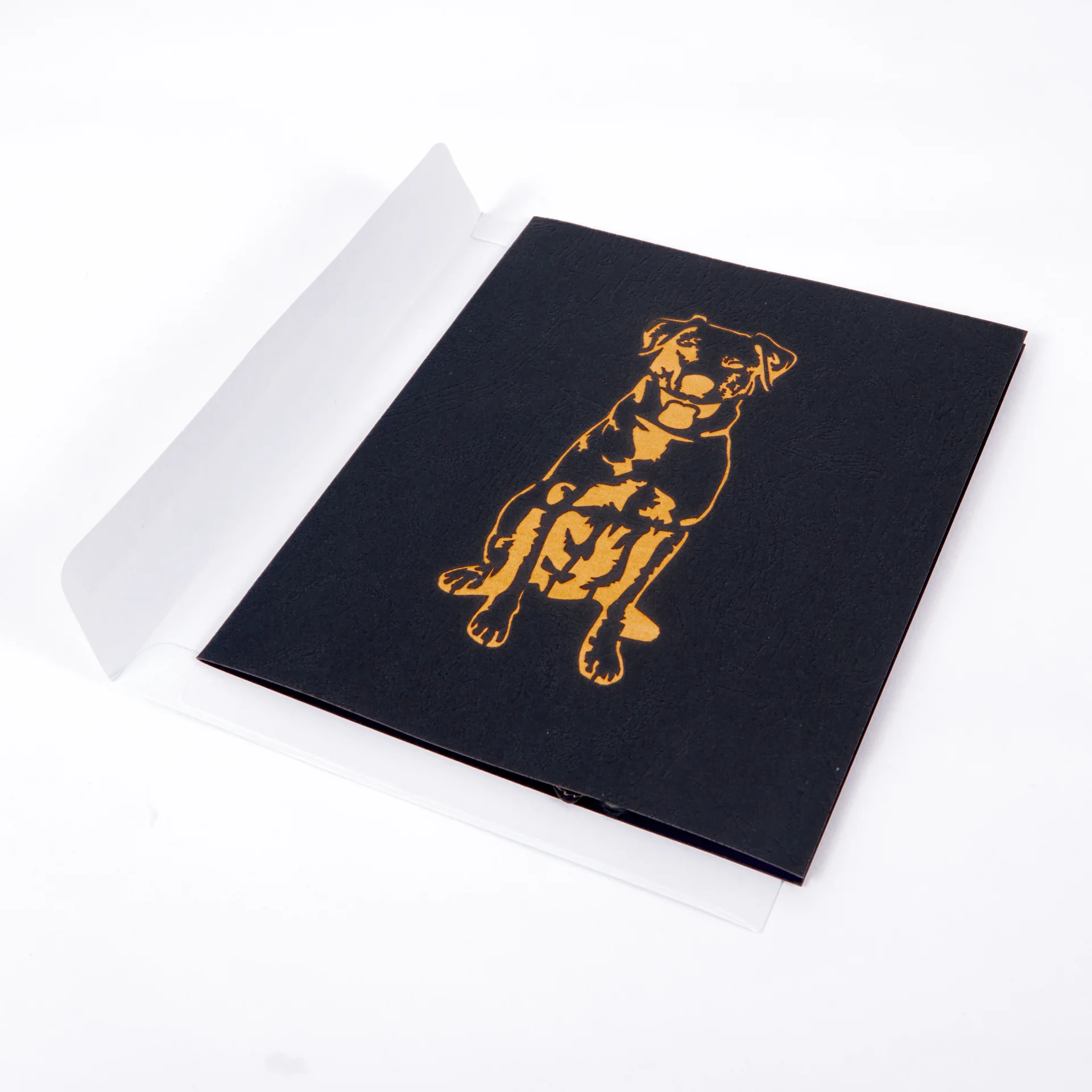 Envelope 9.jpg
