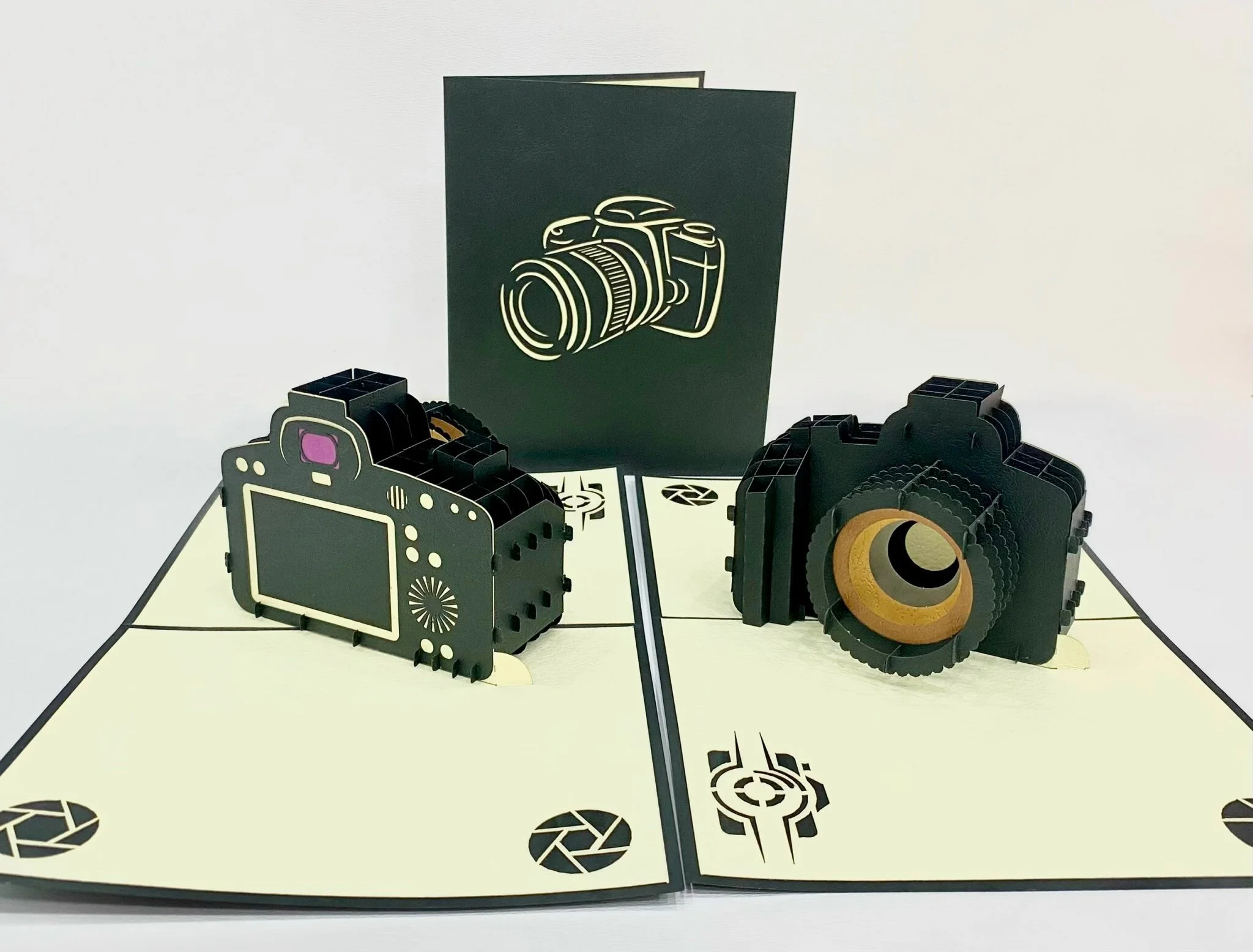 C6DD447A-6B18-4FB8-9EDF-1E87D85700C6