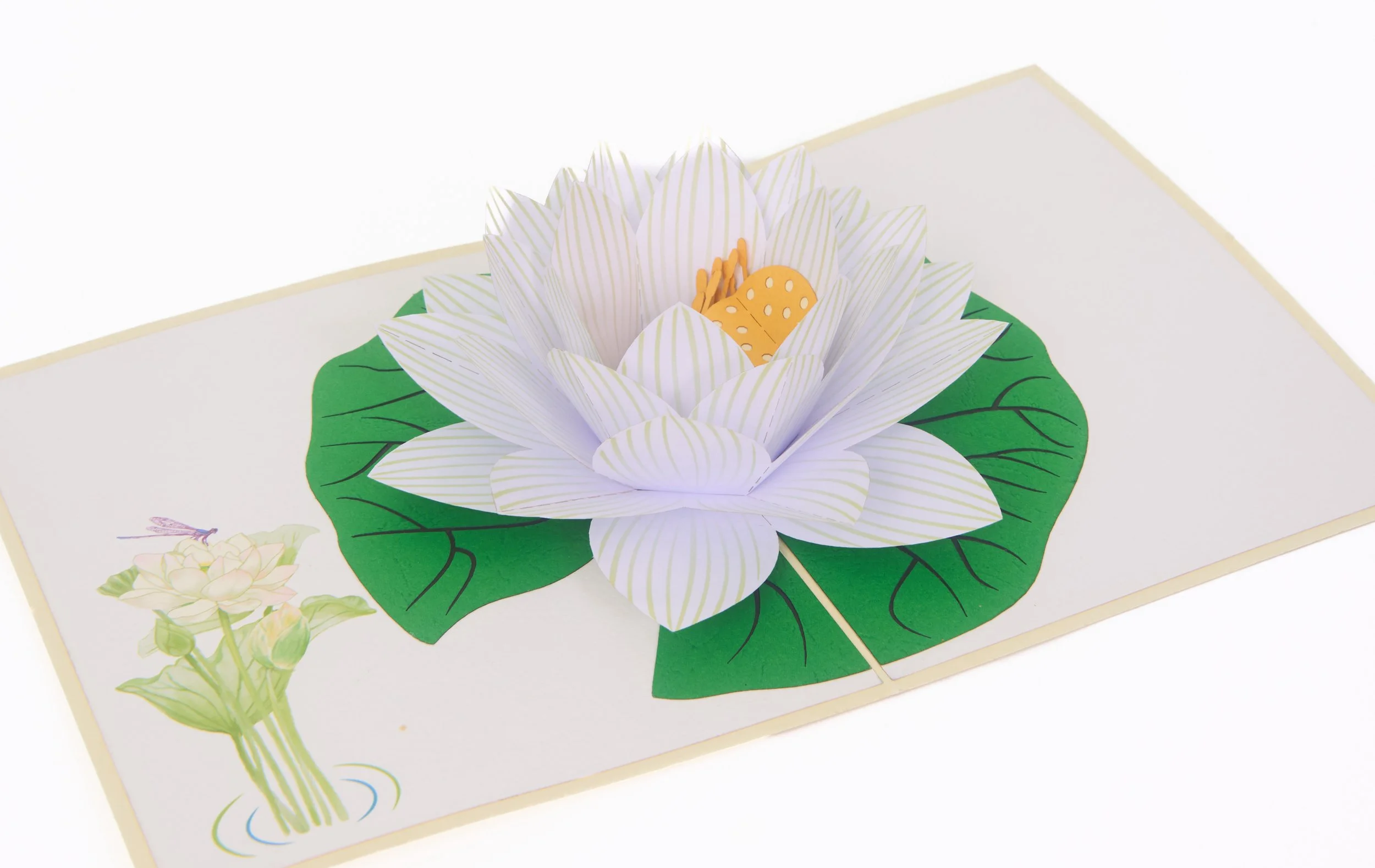 Lotus 3D Pop Up Card