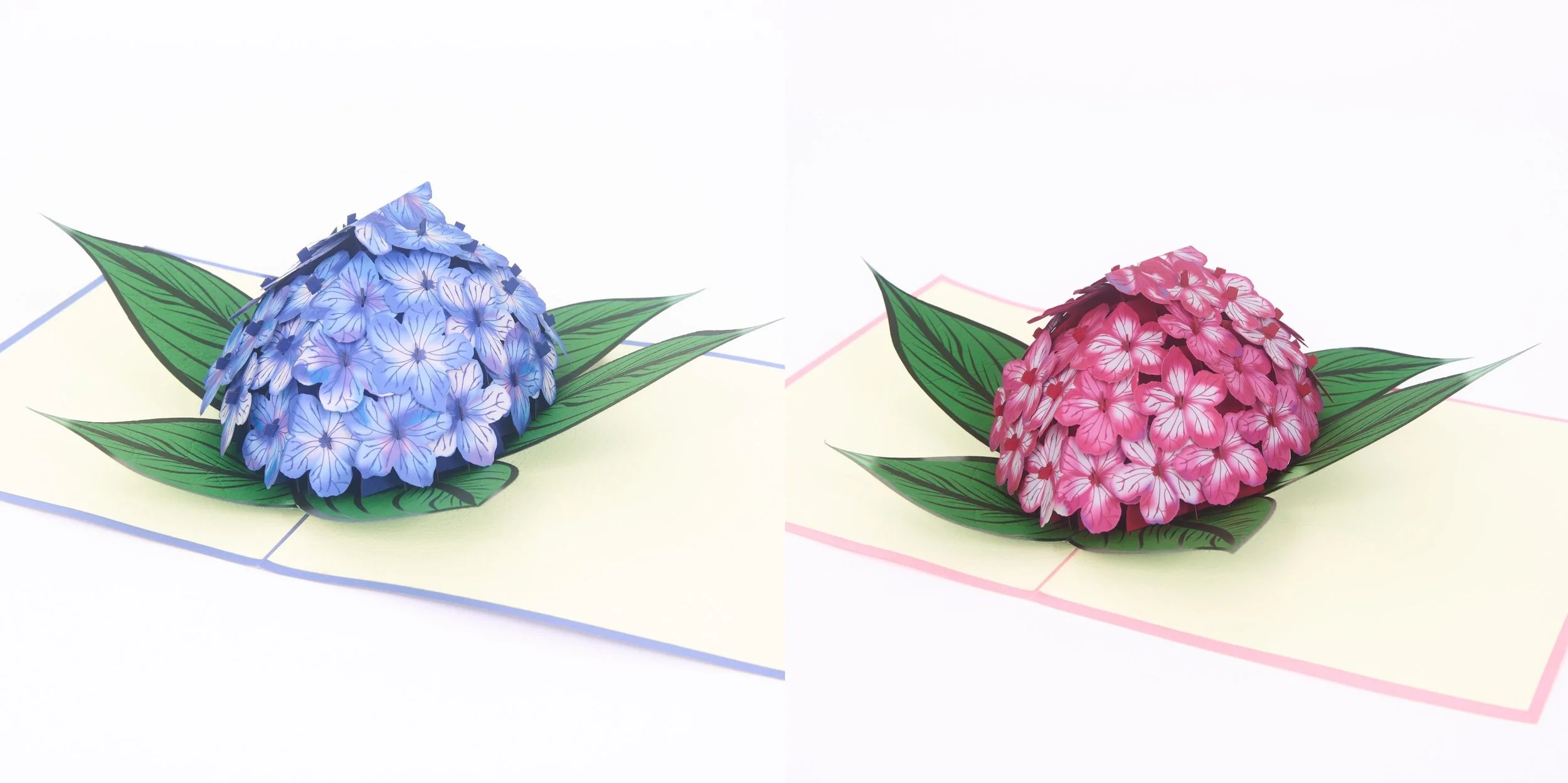 Hydrangea_Angle_Collage.jpg