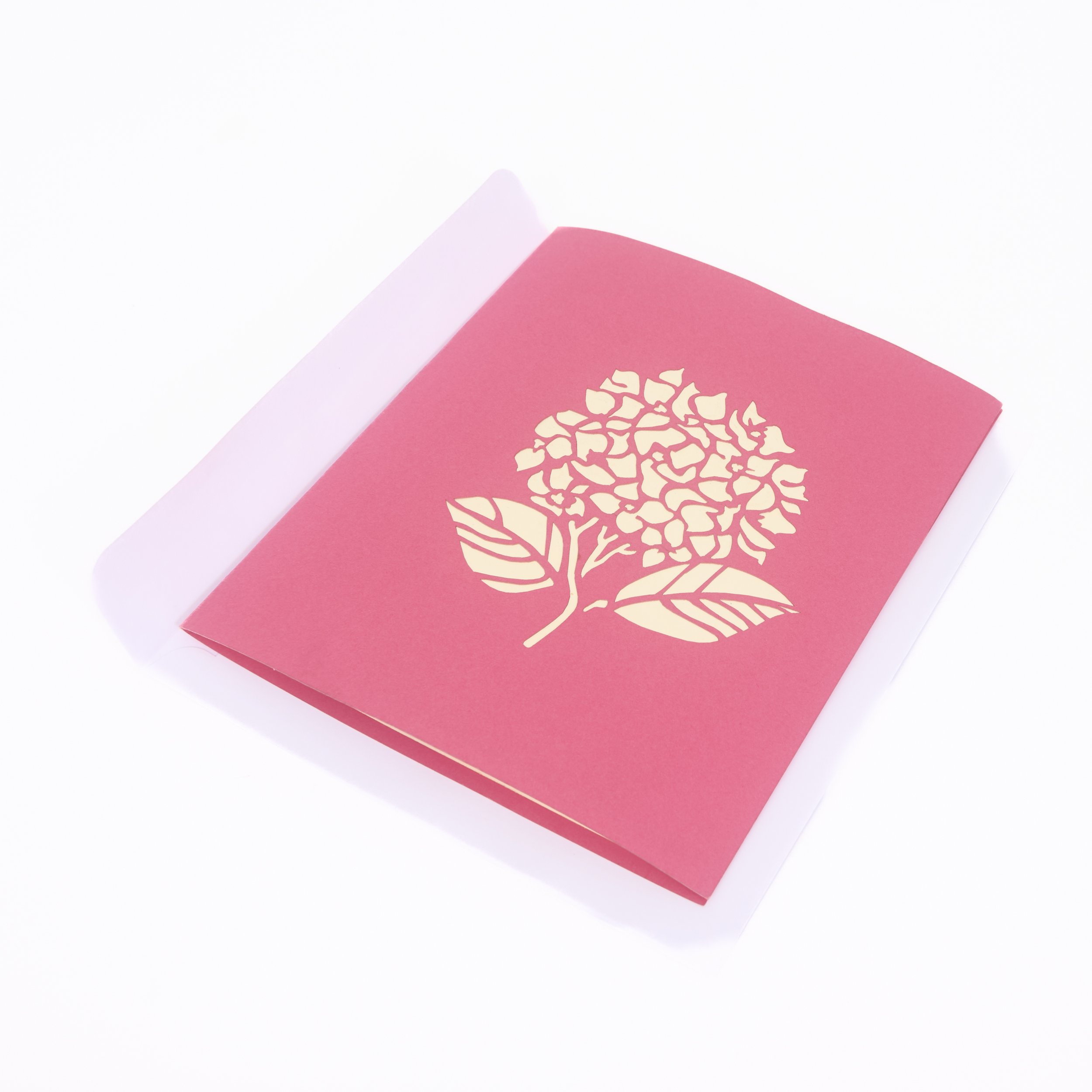Envelope 8.jpg