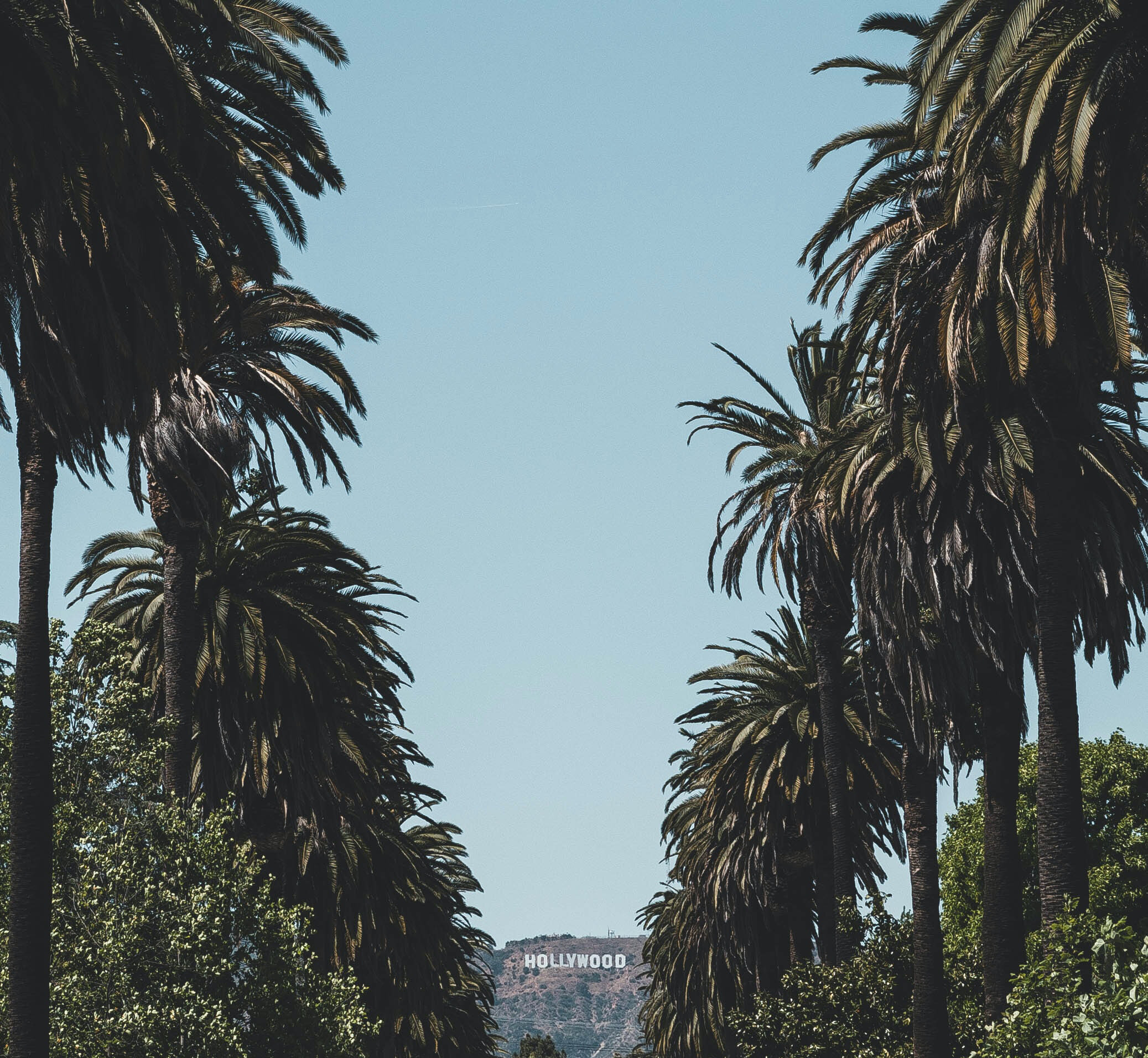 dave-herring-pYzwcf7Xl9s-unsplash.jpg