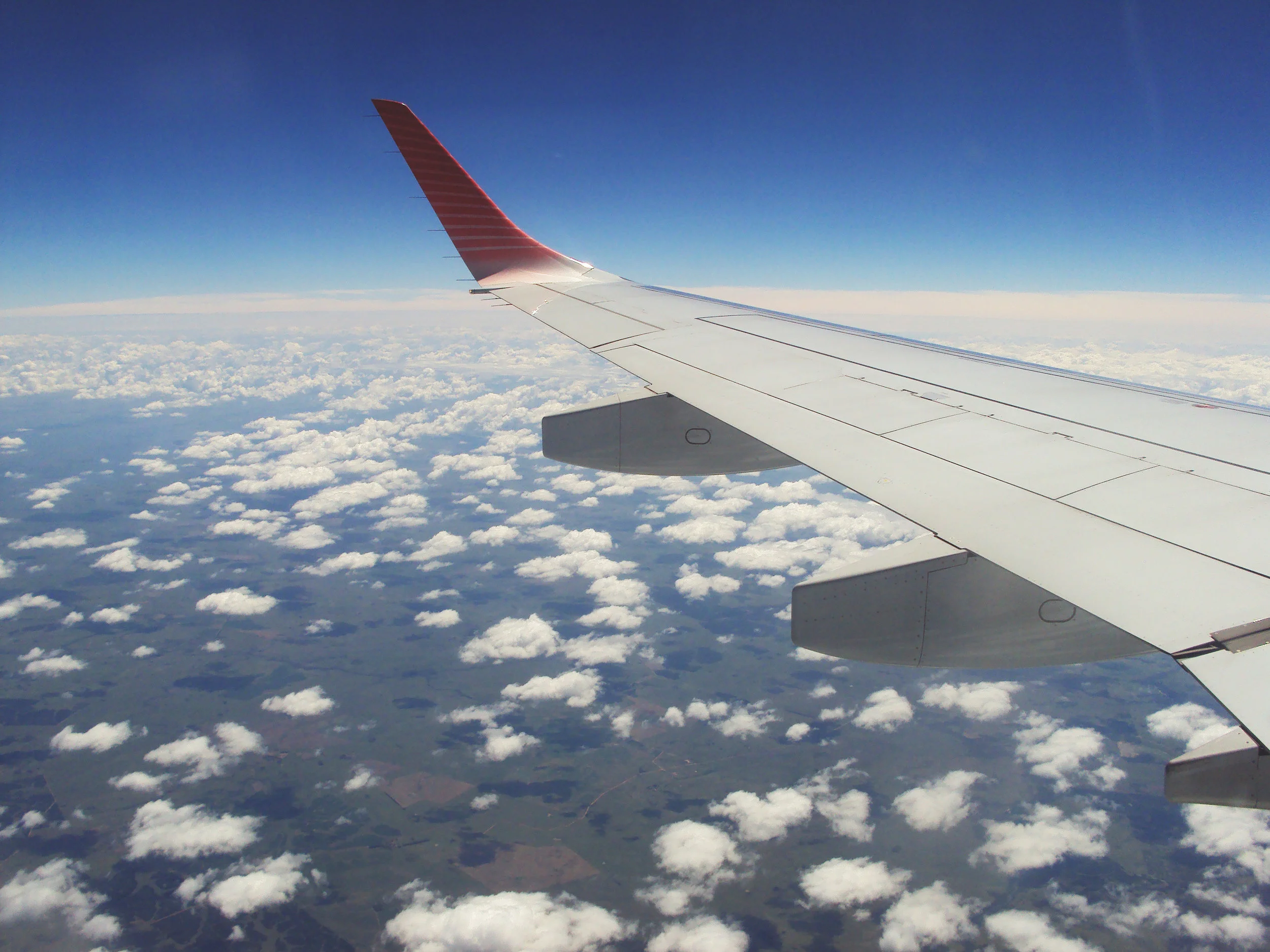 Image Credit: Flickr/Camila Gurrado