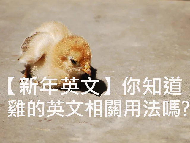 圖片來源:Chick/Tom Coppen https://goo.gl/dKUgeq