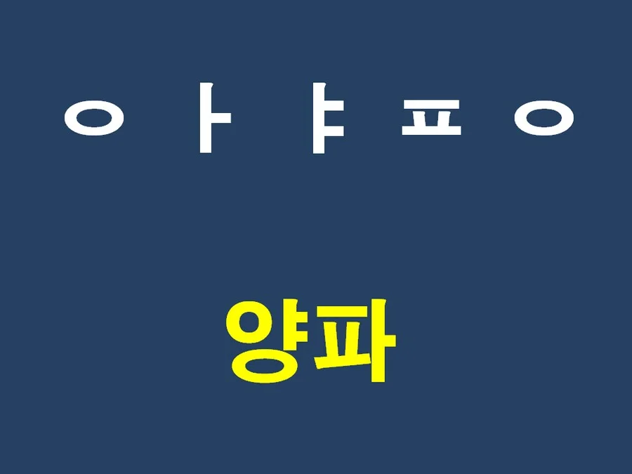 양파洋蔥