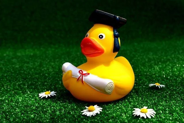 rubber_duck_2821371_640.jpg!thumbnail.jpeg