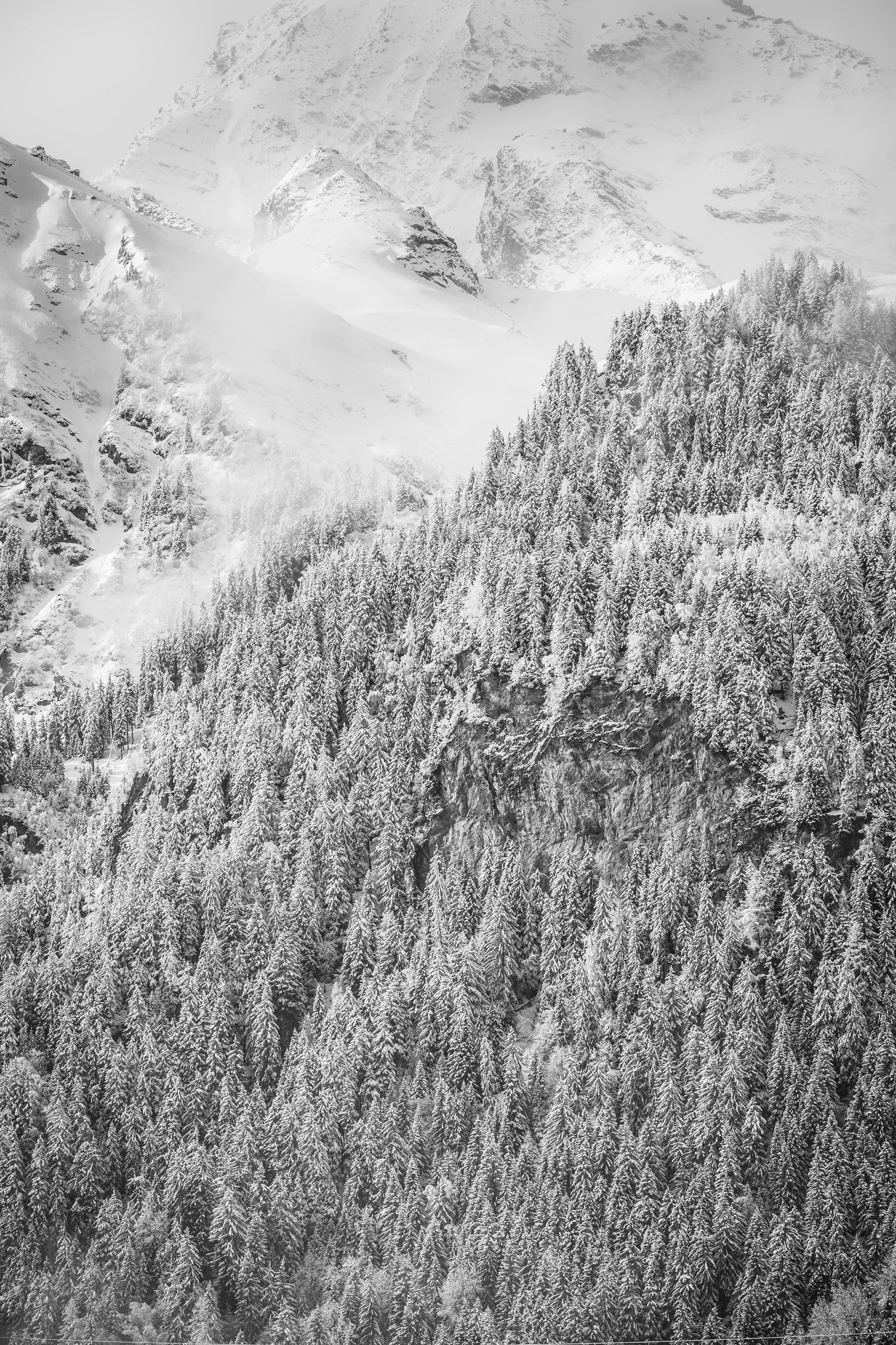 untitled-0232chalet view.jpg