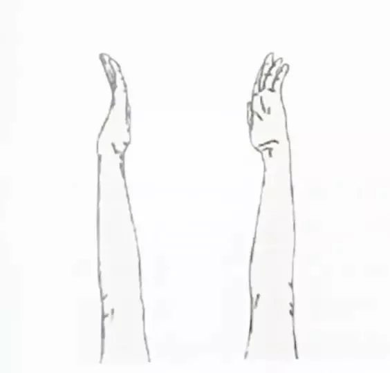 A beginners and general  level yoga day with Glenys Shepherd