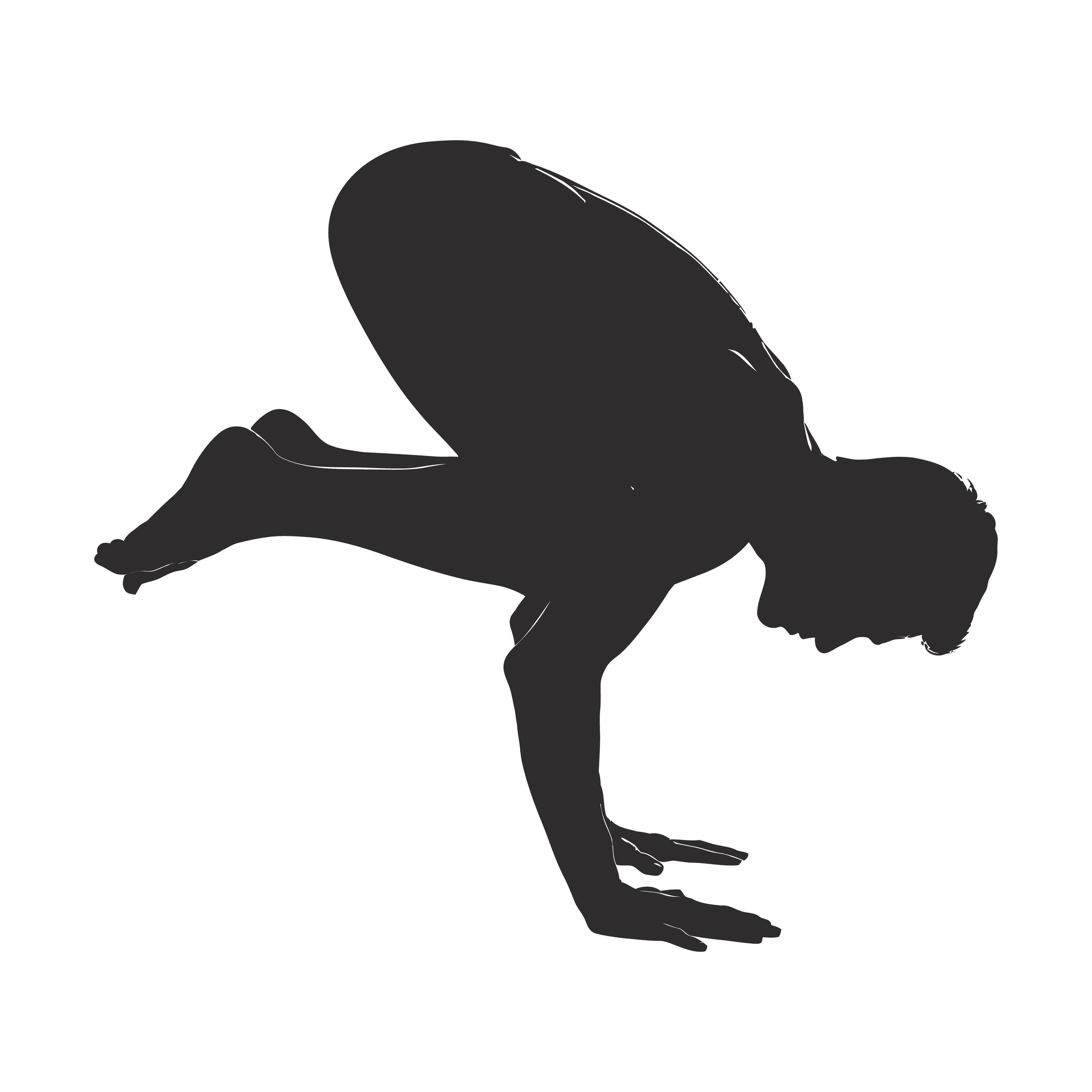Focus on making arm balances accessible for all  - a mini workshop with Marton Vass