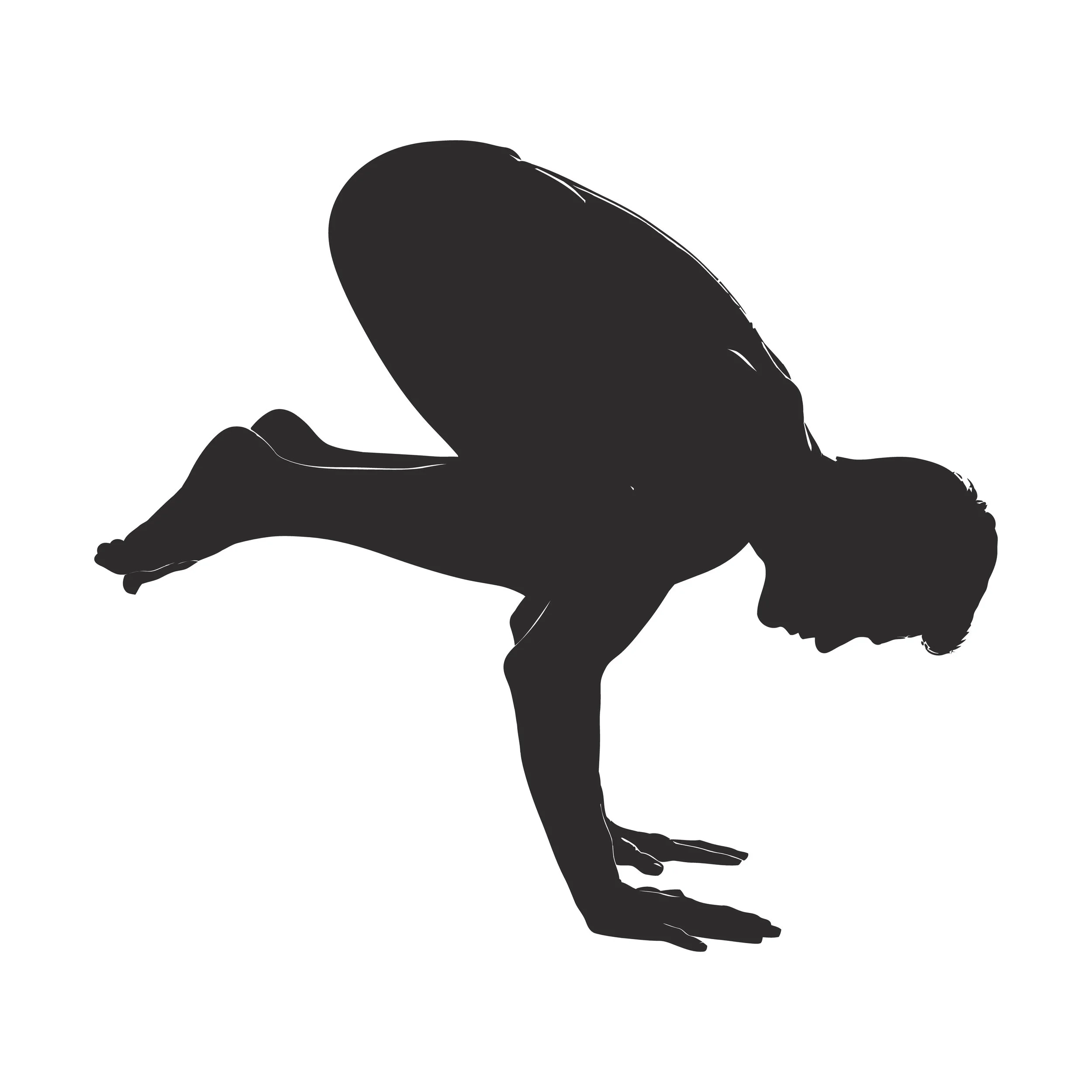Focus on making arm balances accessible for  - a beginner and general level workshop with  Marton Vass