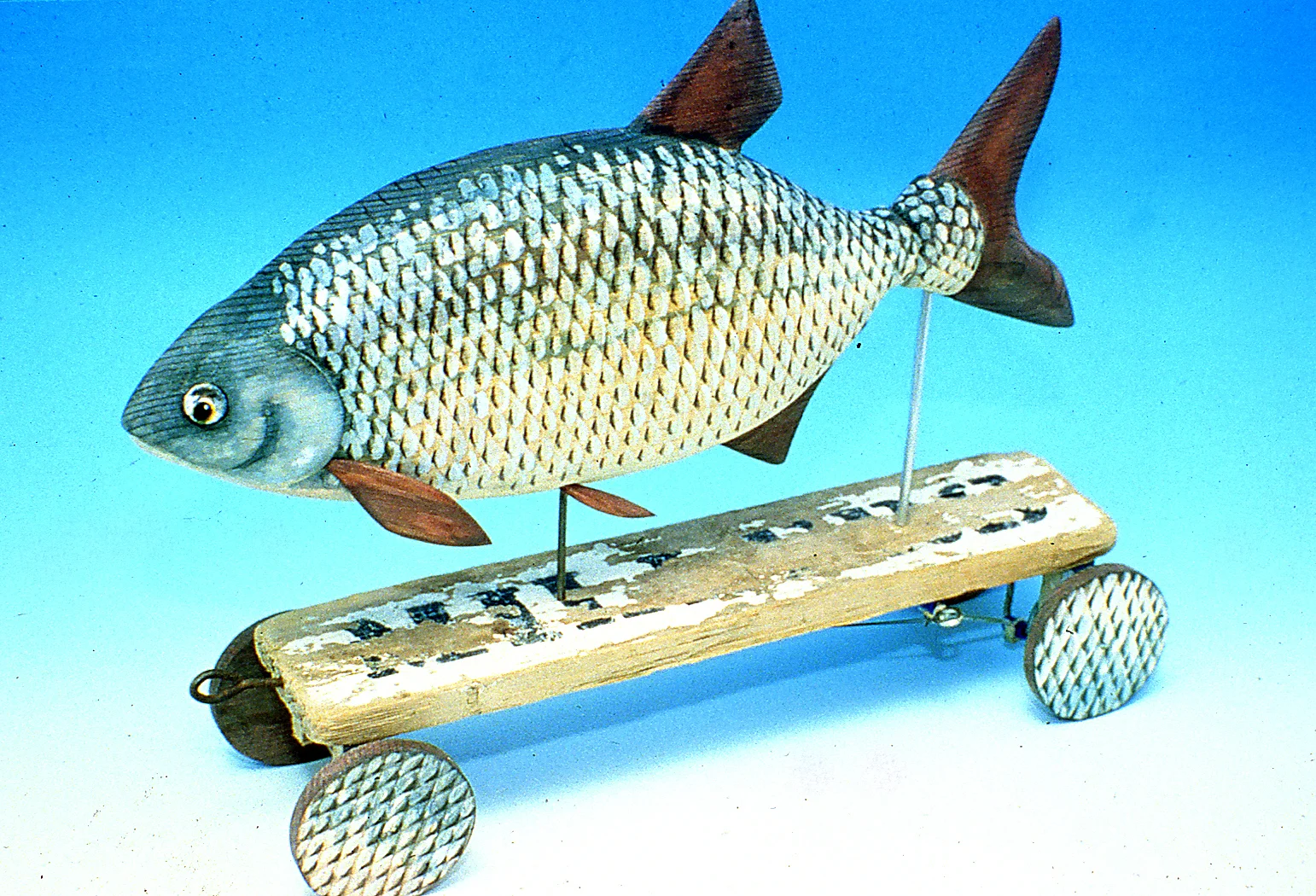 bream.jpg