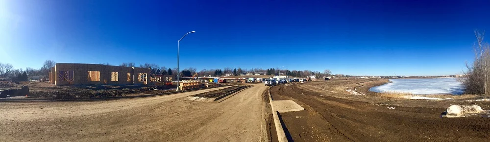 Development Progress