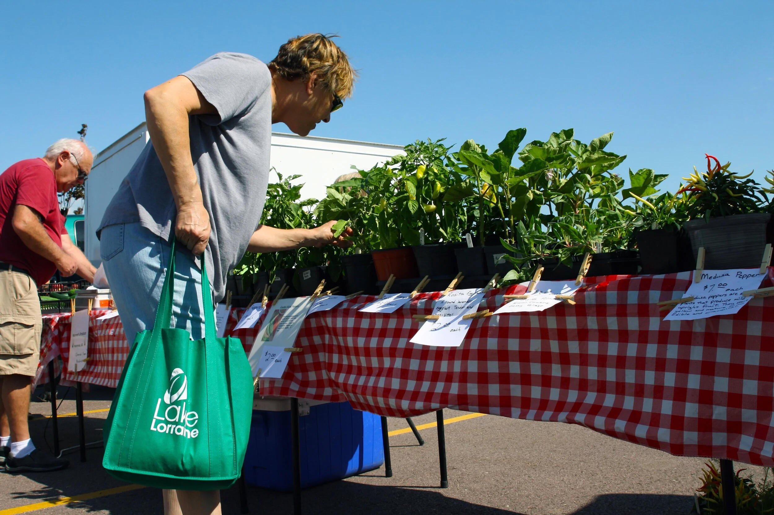 Farmers Market to open June 11