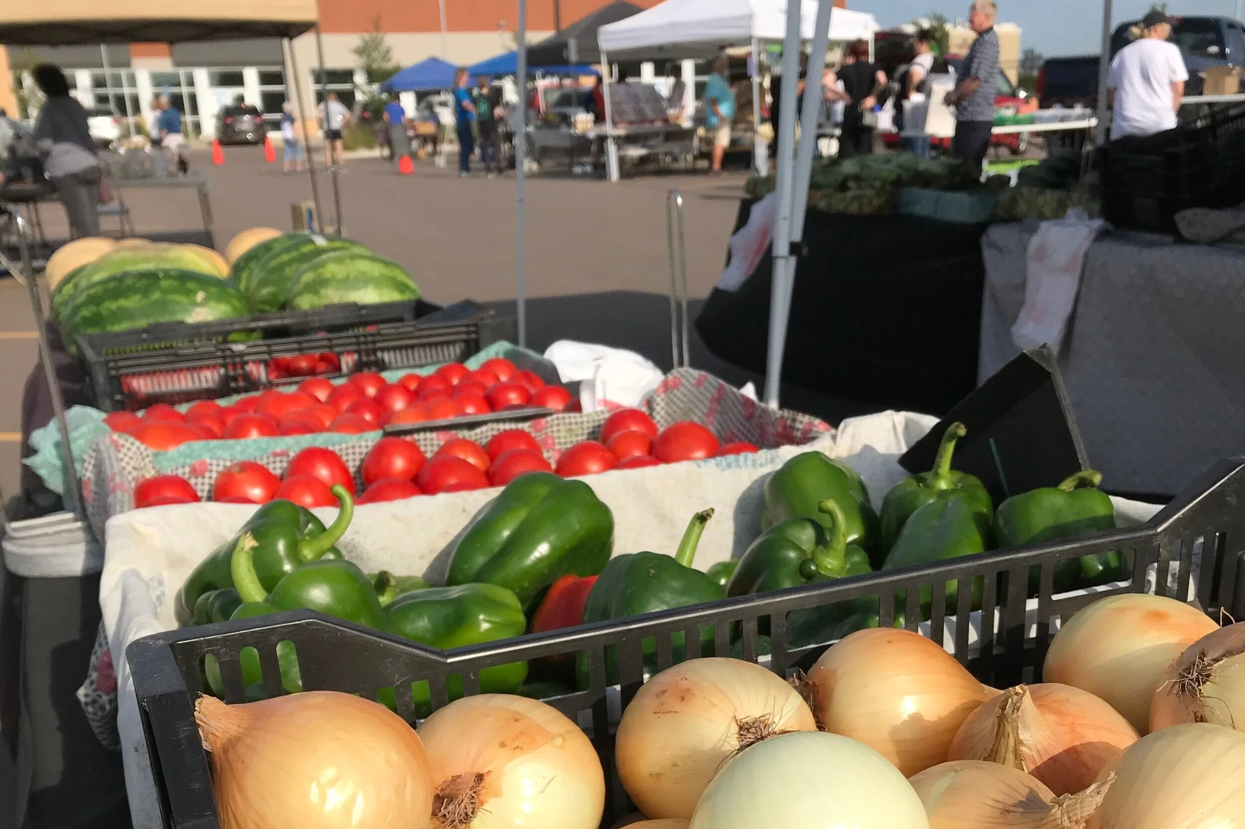 Farmers Market to open June 10