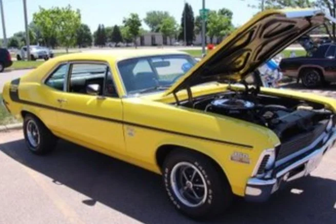 Shine and Show returns Aug. 11