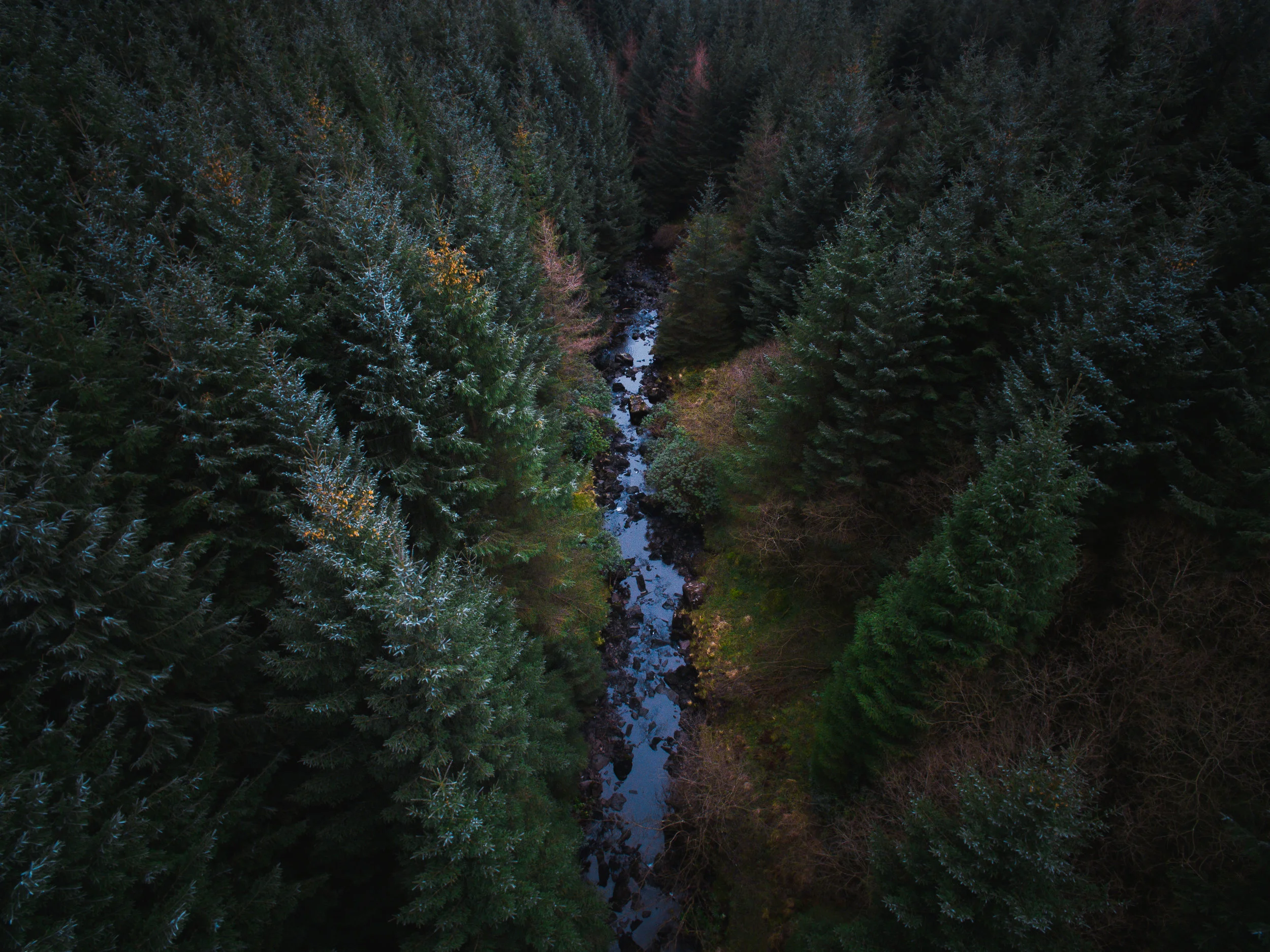 DJI_0018.jpg