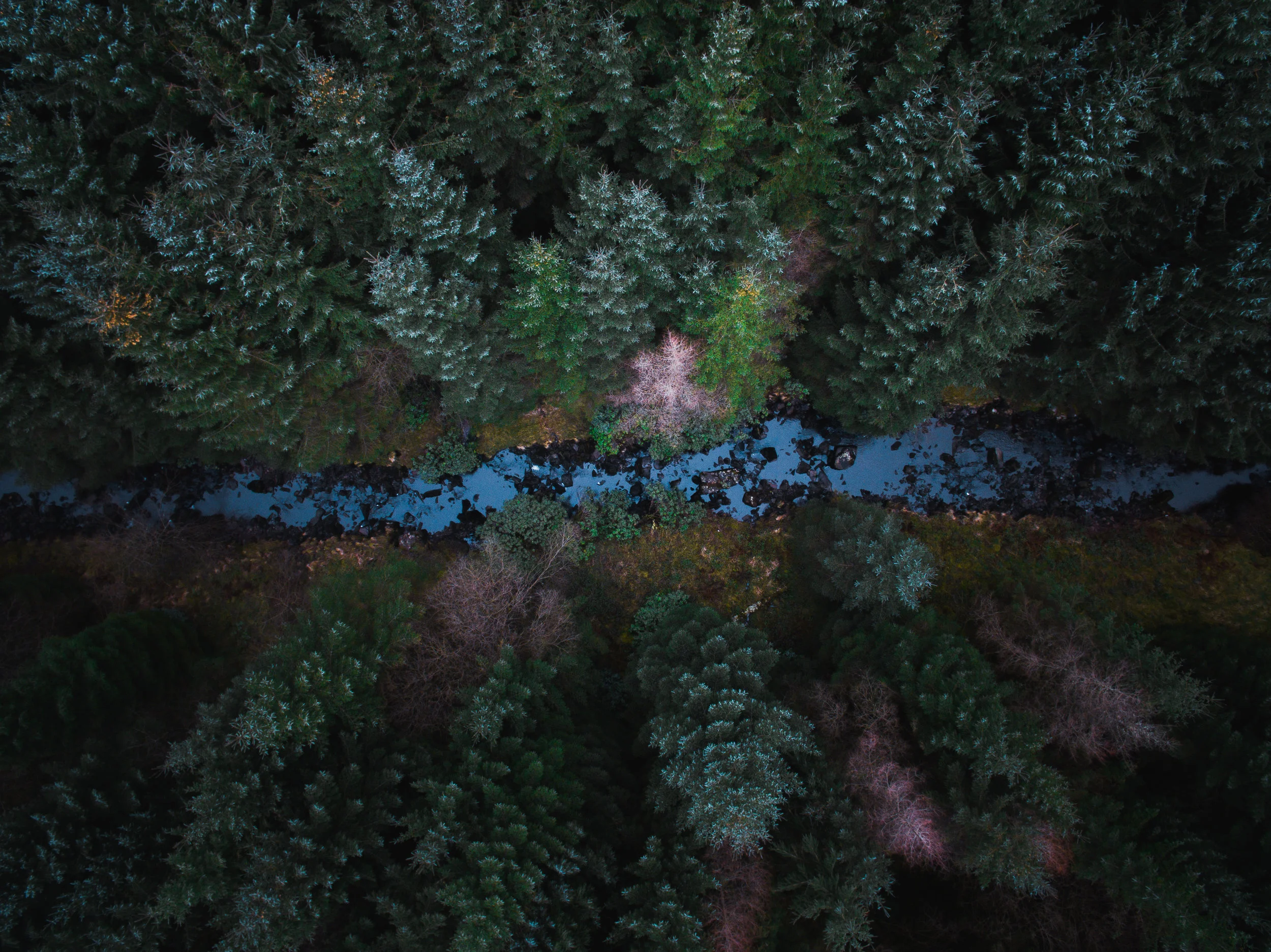 DJI_0023.jpg