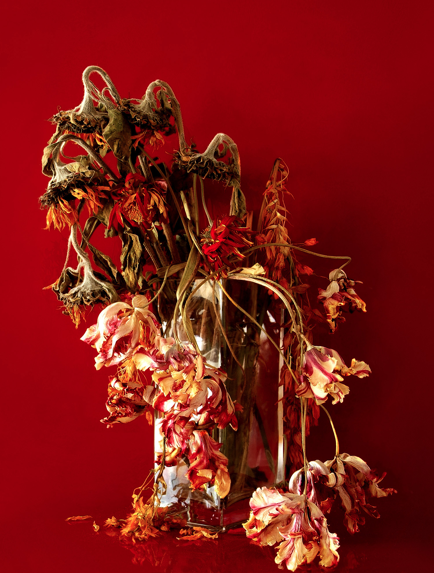 Bouquet.jpg