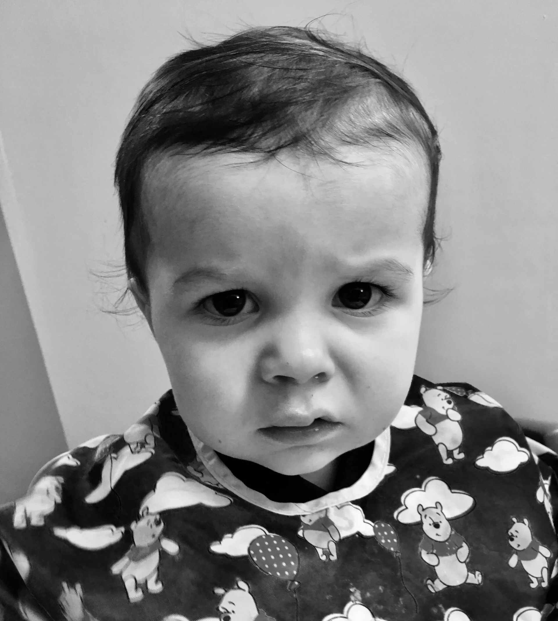 Flynn after a nasty fall looking rather sorry for himself