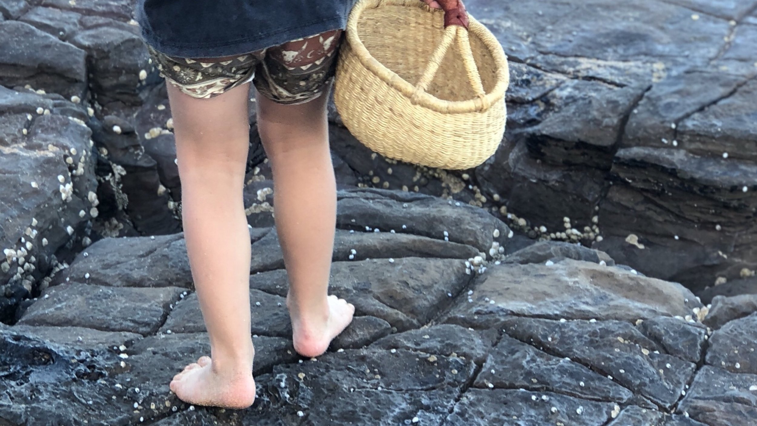 Nourish & Move - Growing Healthy Kids