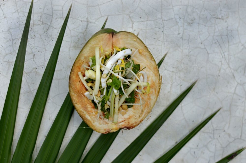 ceviche.jpeg