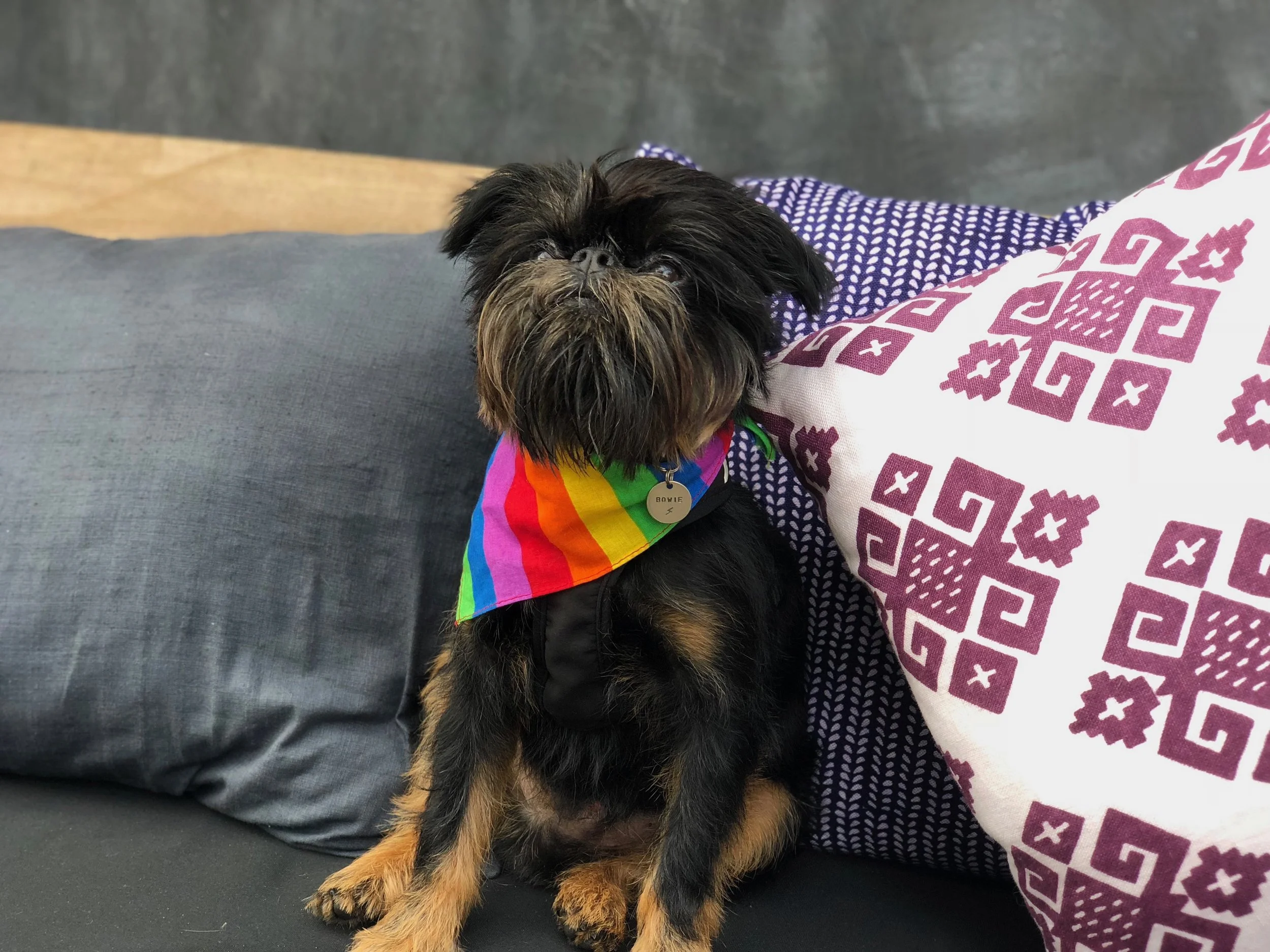 GITANO PRIDE - 93.jpg
