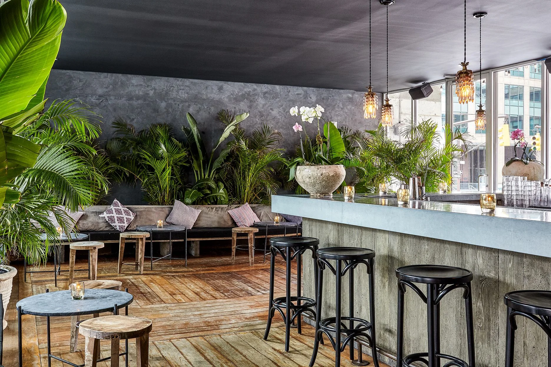 JUNGLE BAR & CAFÉ — LOCATED ON THE UPPER FLOOR OPENS FOR BREAK