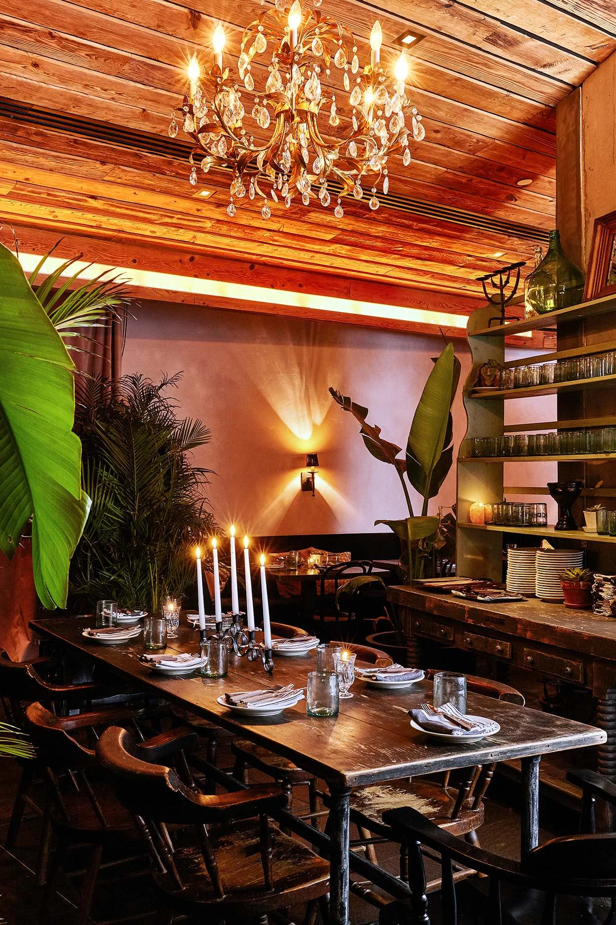 190211_Gitano_JungleRoom-18.jpg