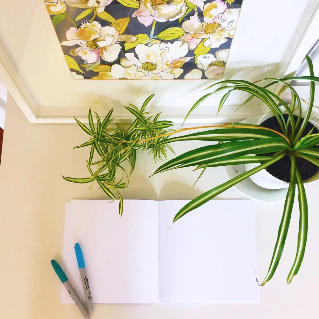 Open Notebook Image.jpg