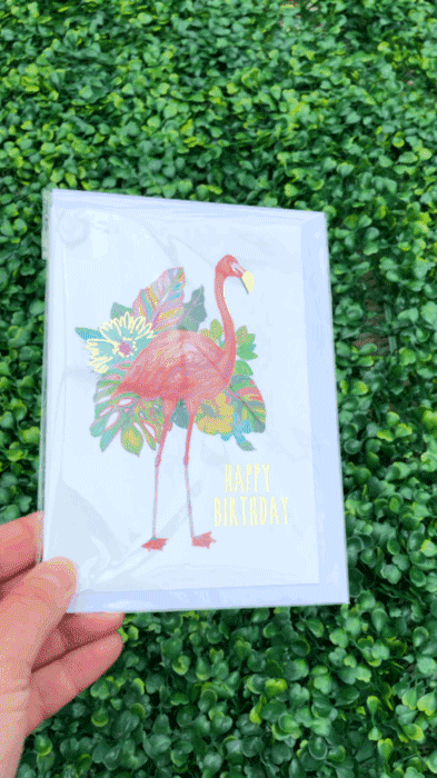 Flamingo-Card.gif