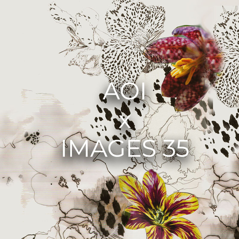 AOI Cover Image v2.jpg