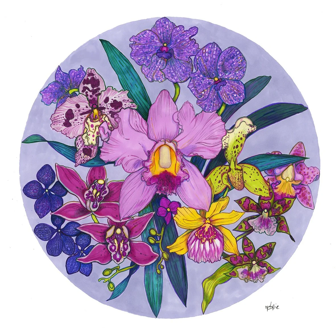 Orchid Study Garden of Eden Giclée Print