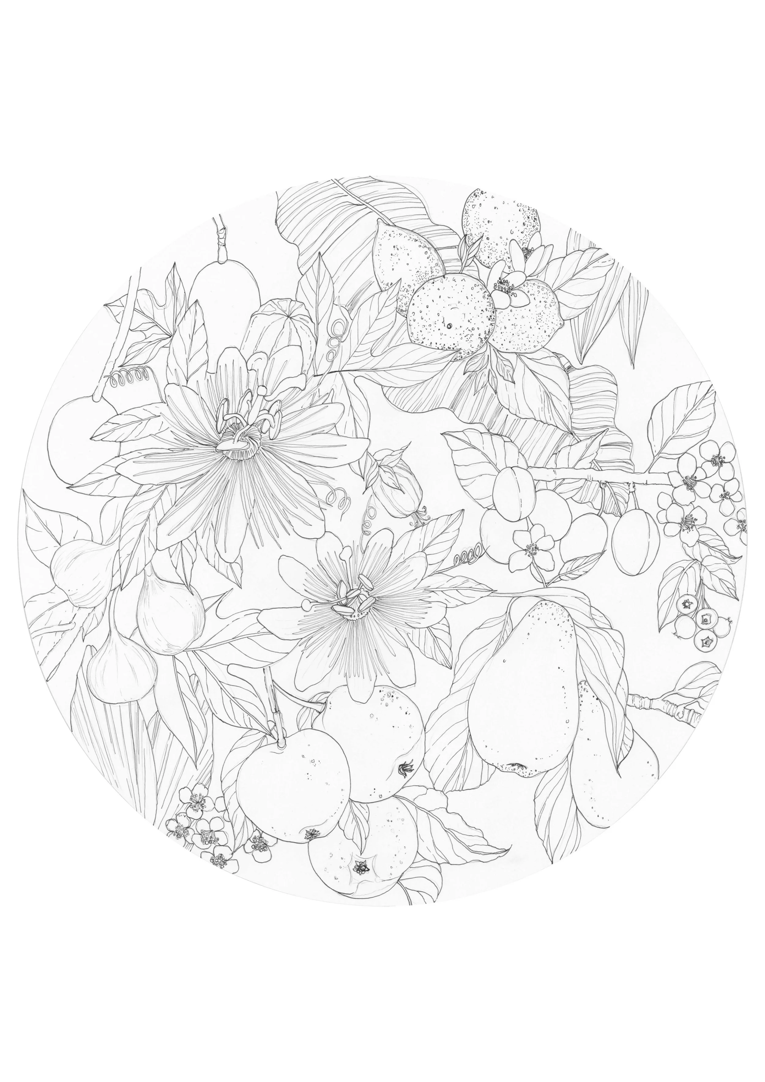 Image 07-03-2022 at 14.25 2.JPG