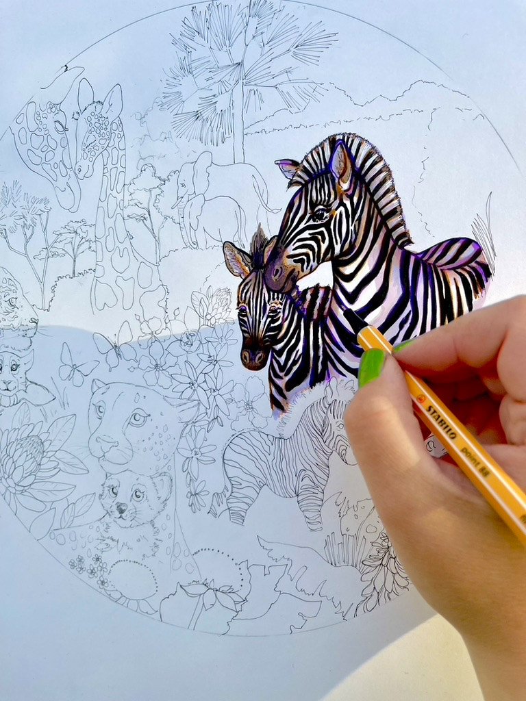 Safari Zebra Drawing.jpg