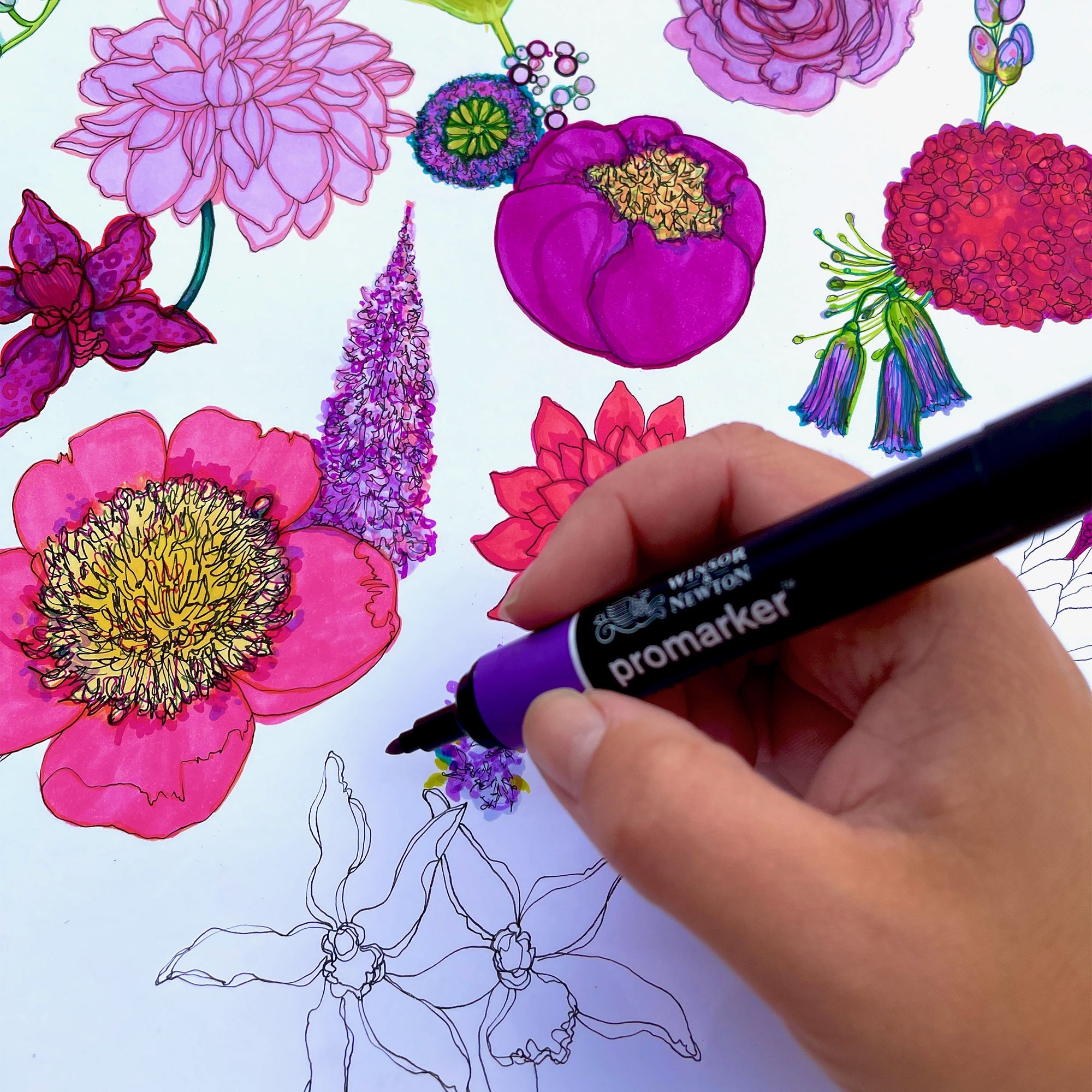 Marcella Wylie Drawing Flowers copy.jpg