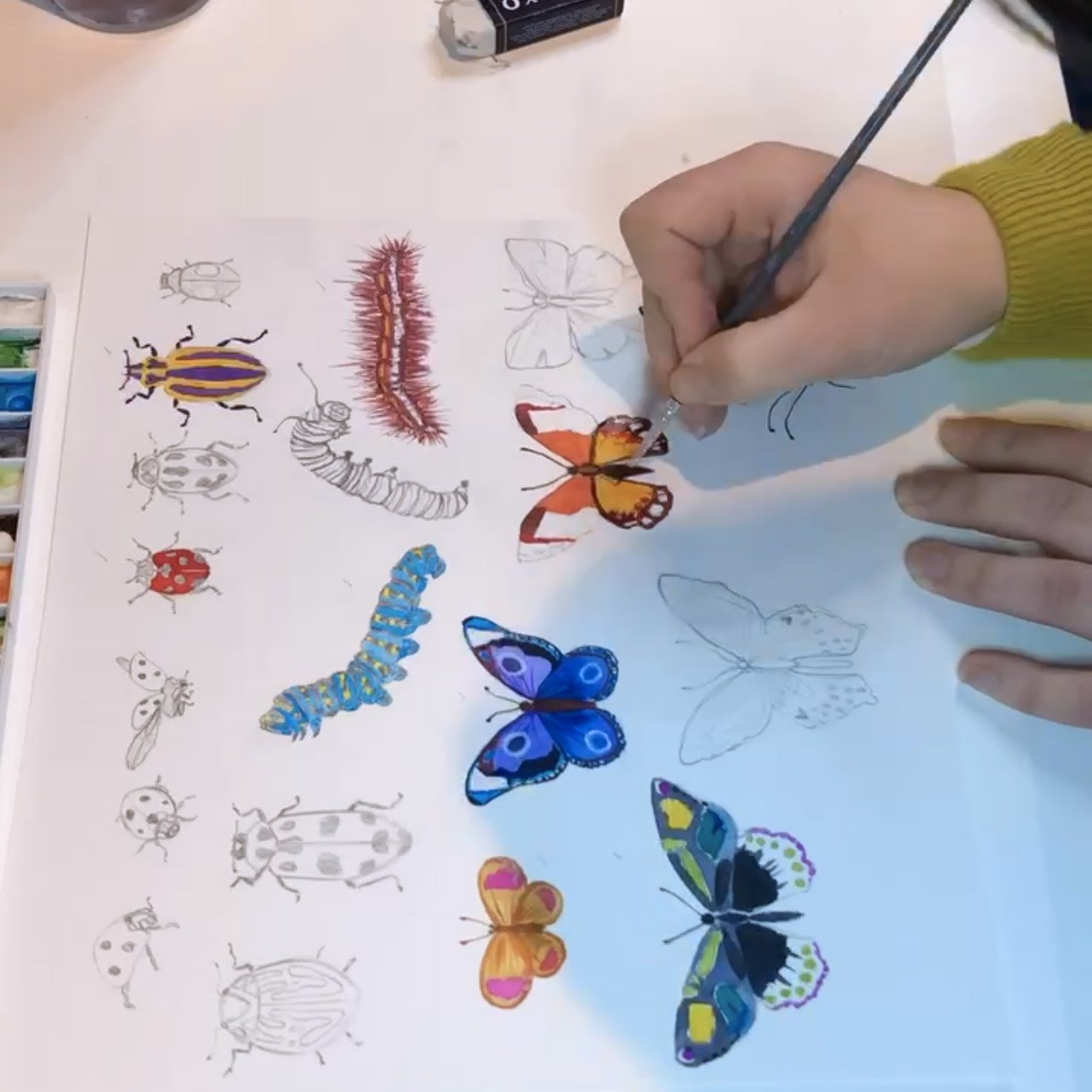 Watercolour Painting Butterflies and Caterpillars