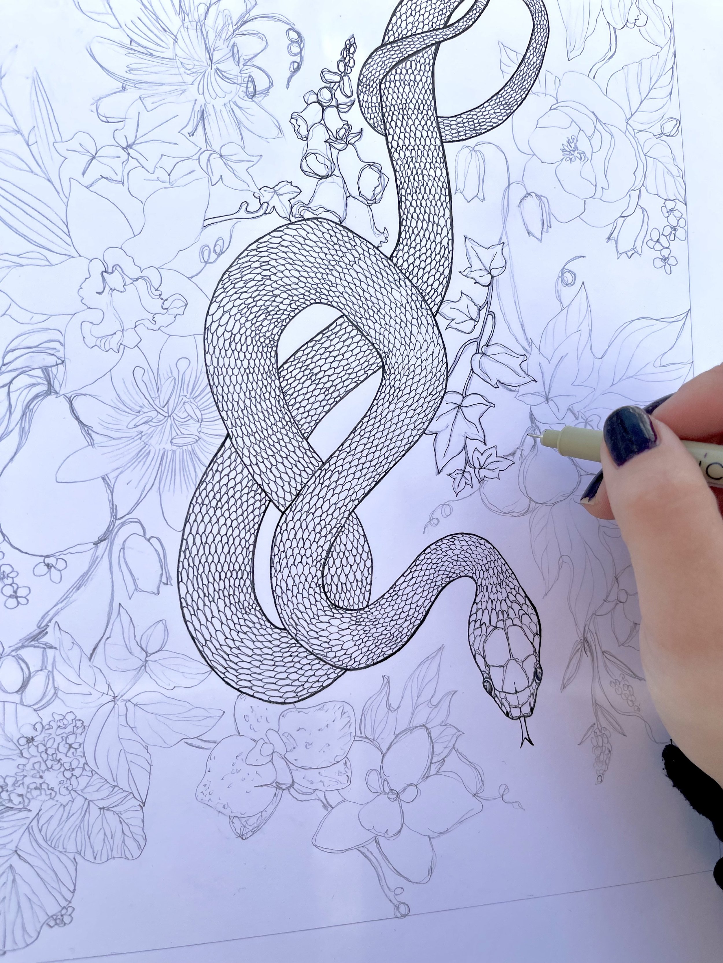 Serpent Illustration in Pen