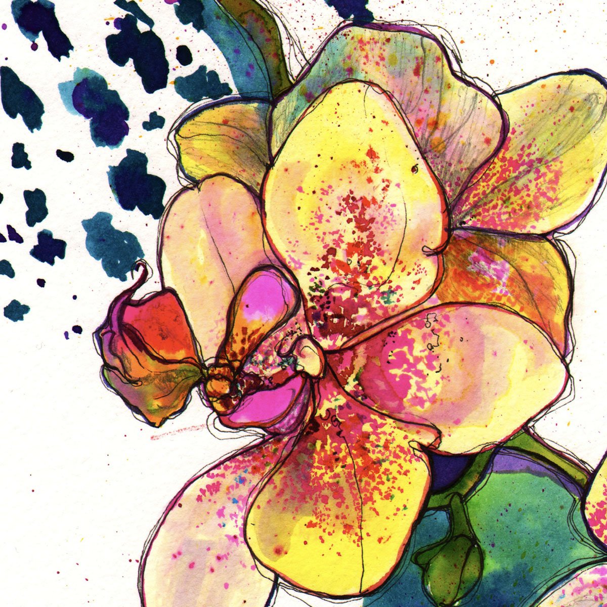 Inky Orchid botanical page.jpg