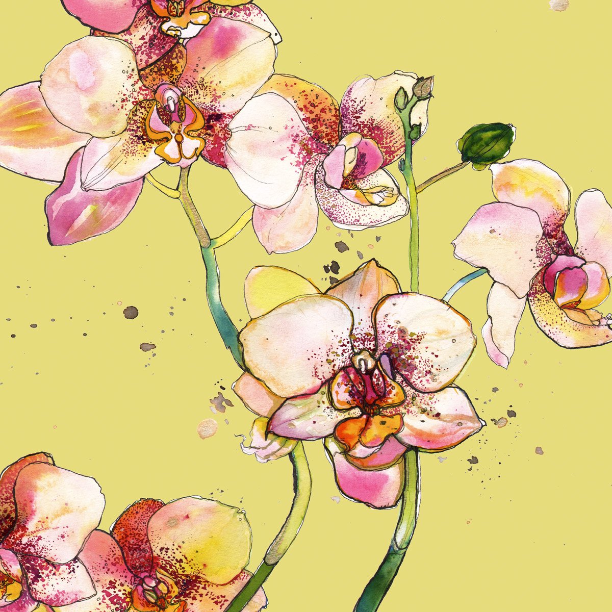 Pink Orchids botanical page.jpg