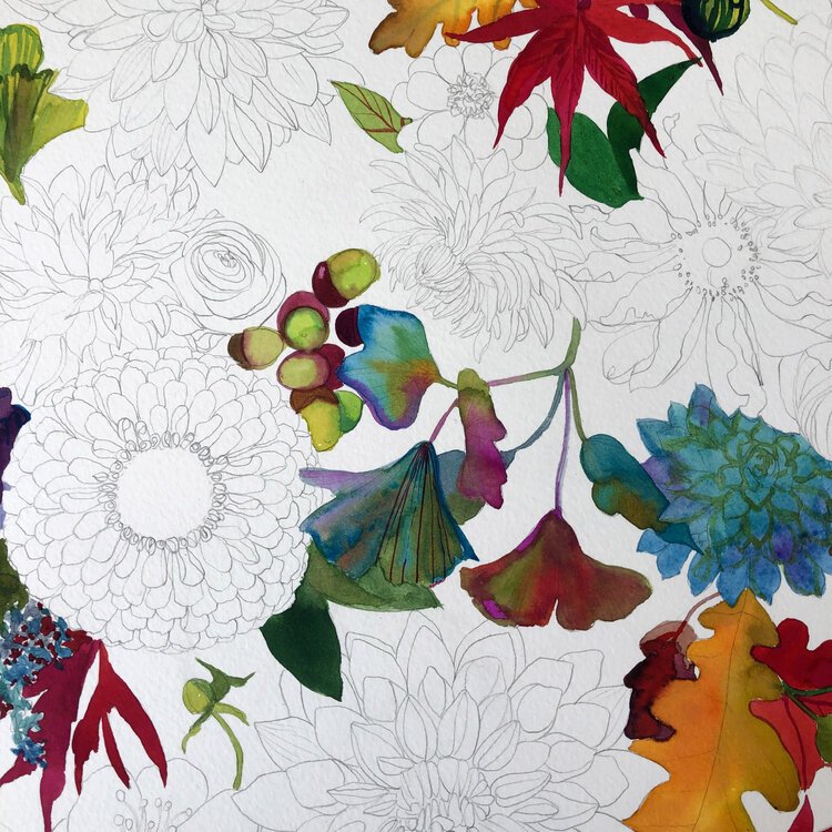 Autumn+Sketch+botanical+illustration+Marcella+Wylie.jpg
