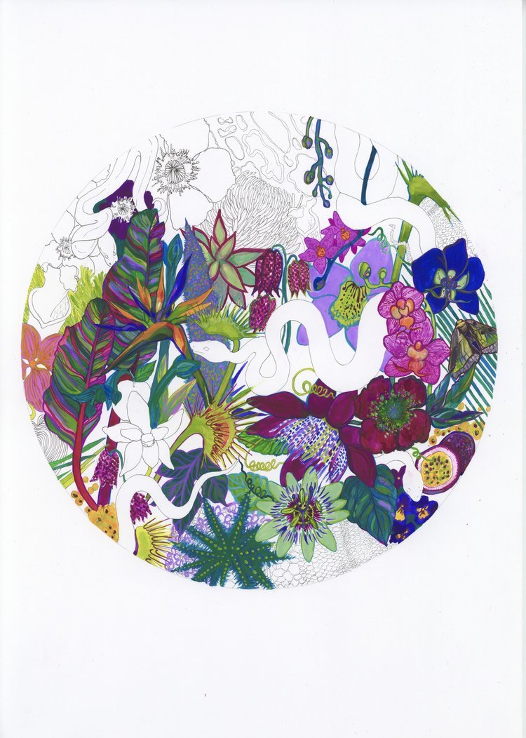 Garden+Of+Eden++botanical+illustration+Marcella+Wylie.jpg