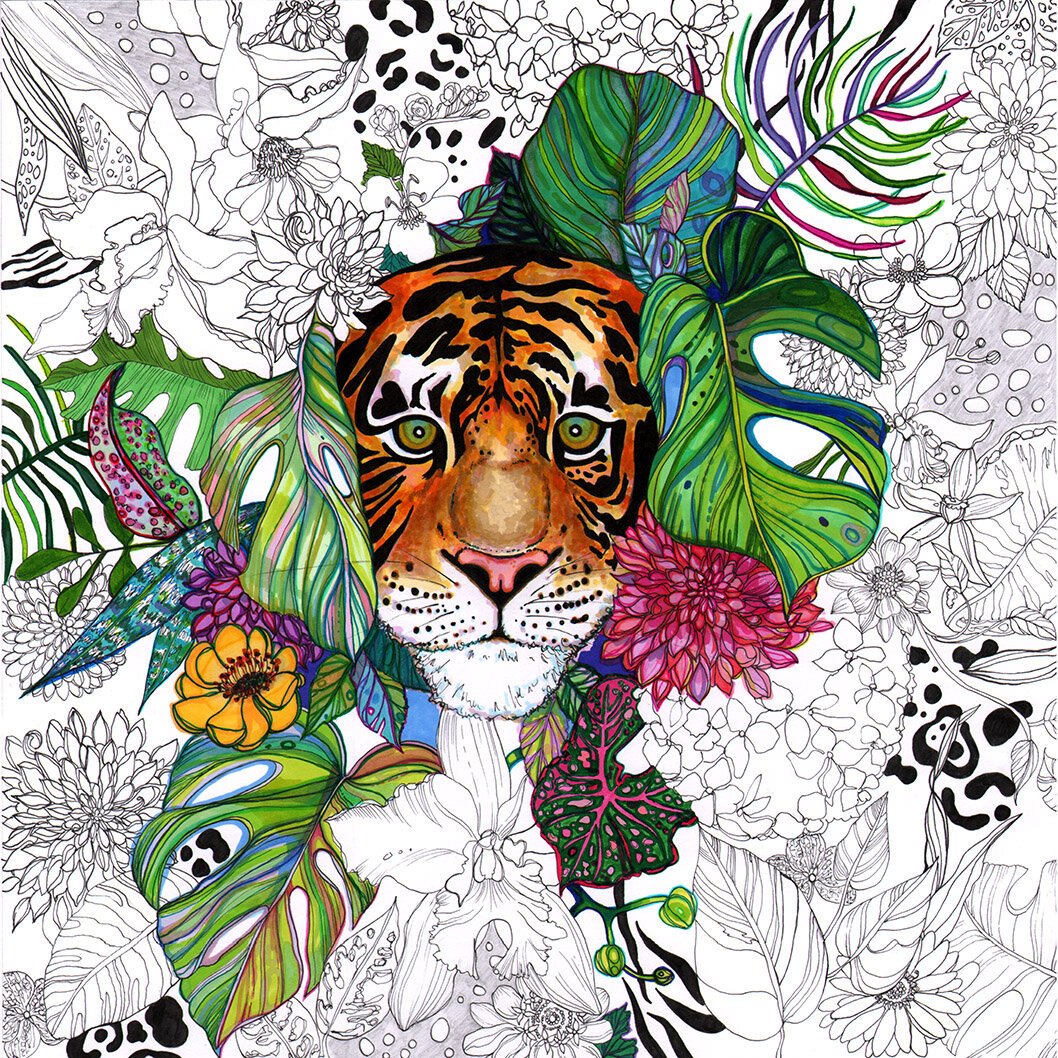 Jungle+Tiger+B+&+W+Part+Colour+botanical+illustration+Marcella+Wyliei.jpg