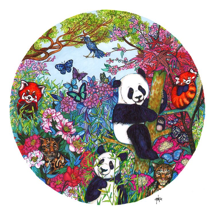Pandas+Playing+animal+botanical+illustration+Marcella+Wylie.jpg