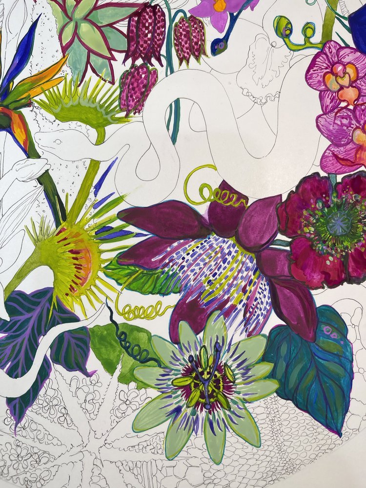 Passion+Flower+botanical+illustration+Marcella+Wylie.jpg